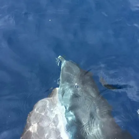 Vista Azul